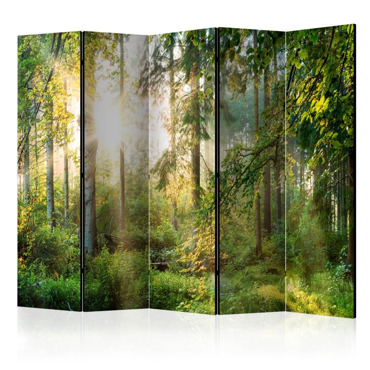 Paravento Untamed Nature II [Room Dividers]