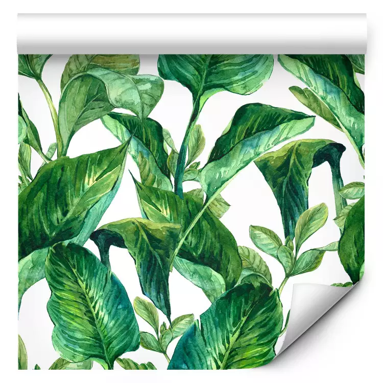 Paradiso tropicale