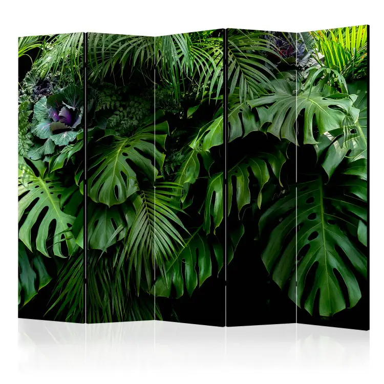 Foreste pluviali II - foglie tropicali in una giungla