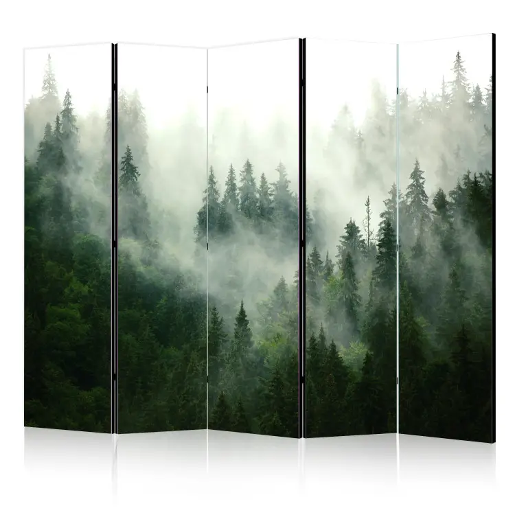 Bosco di conifere II - paesaggio di bosco di conifere con nebbia