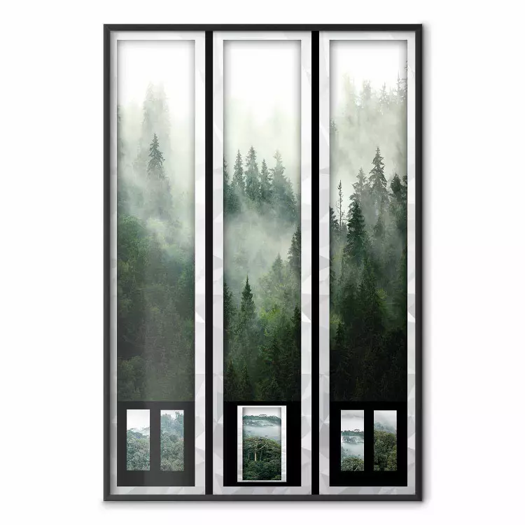 Carte di ricordi - fitta foresta nella nebbia in diversi quadri