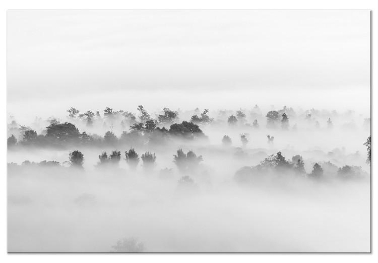 Quadro su tela Paesaggio nebbioso bosco (1 pezzo) - alberi sotto tenda bianca