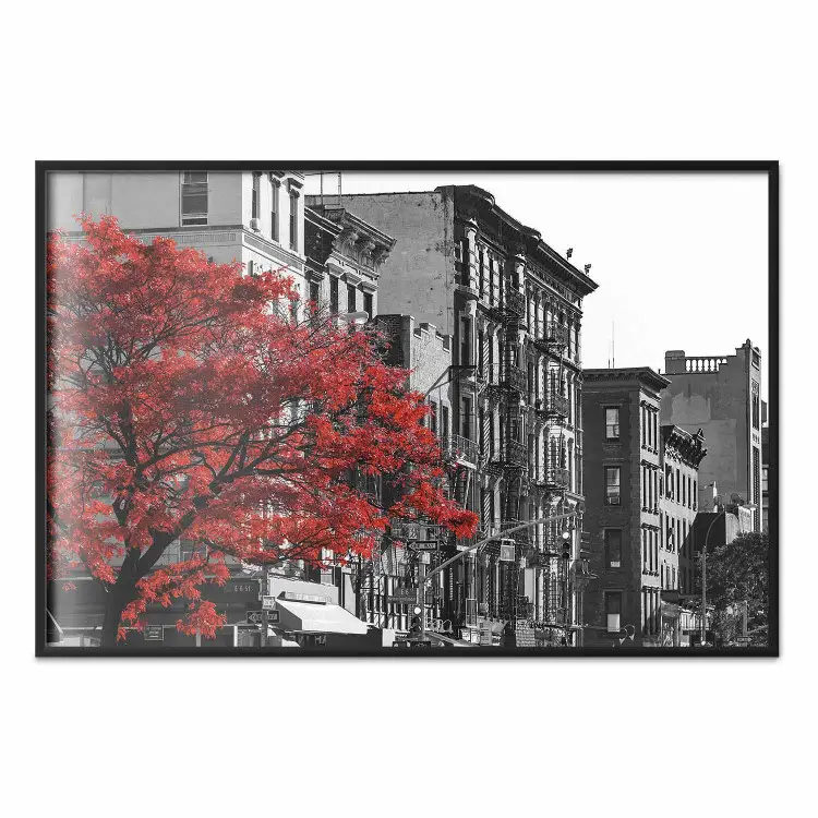 Autunno a New York - paesaggio urbano con albero rosso