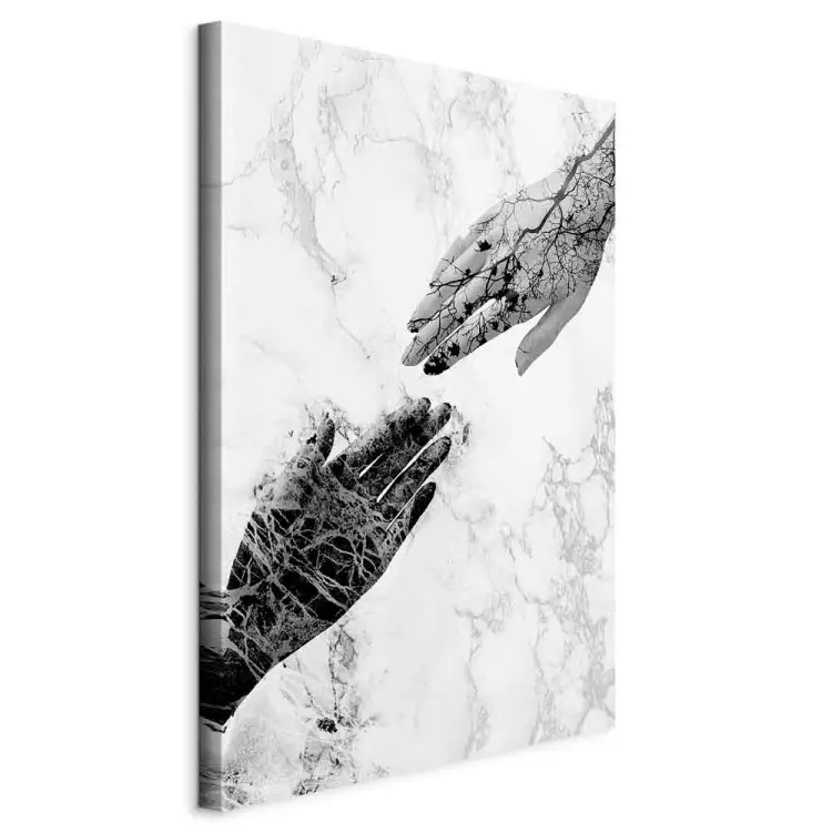 Arte della natura tra le mani - astrazione in bianco e nero