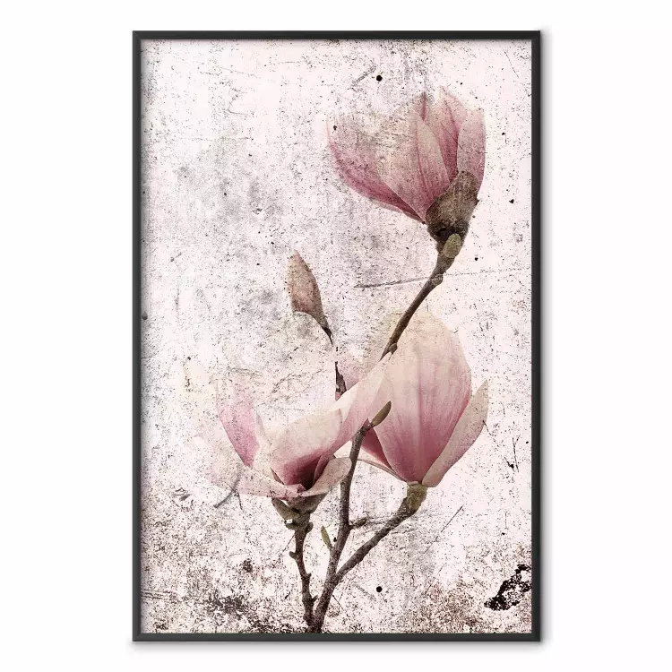 Magnolia matura - composizione vintage con fiori su sfondo pastello