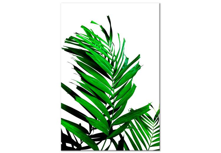 Quadri con natura e poster a tema vegetale - scopri il trend biofilico e le  decorazioni murali della collezione Go Green - negozio bimago