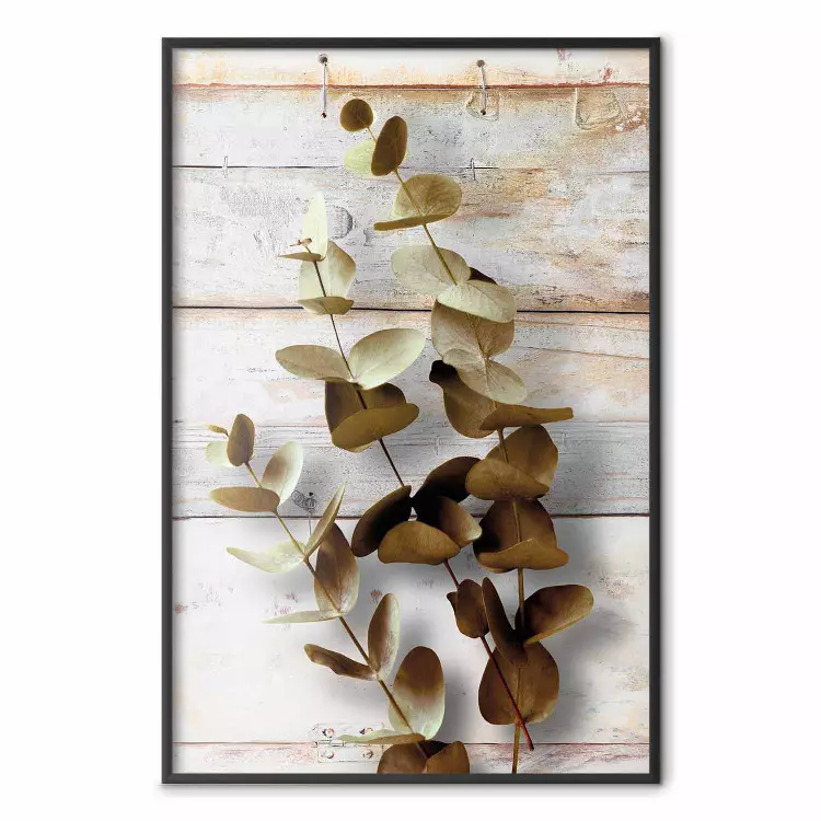 Alba di gennaio - pianta con foglie marroni su sfondo di assi di legno