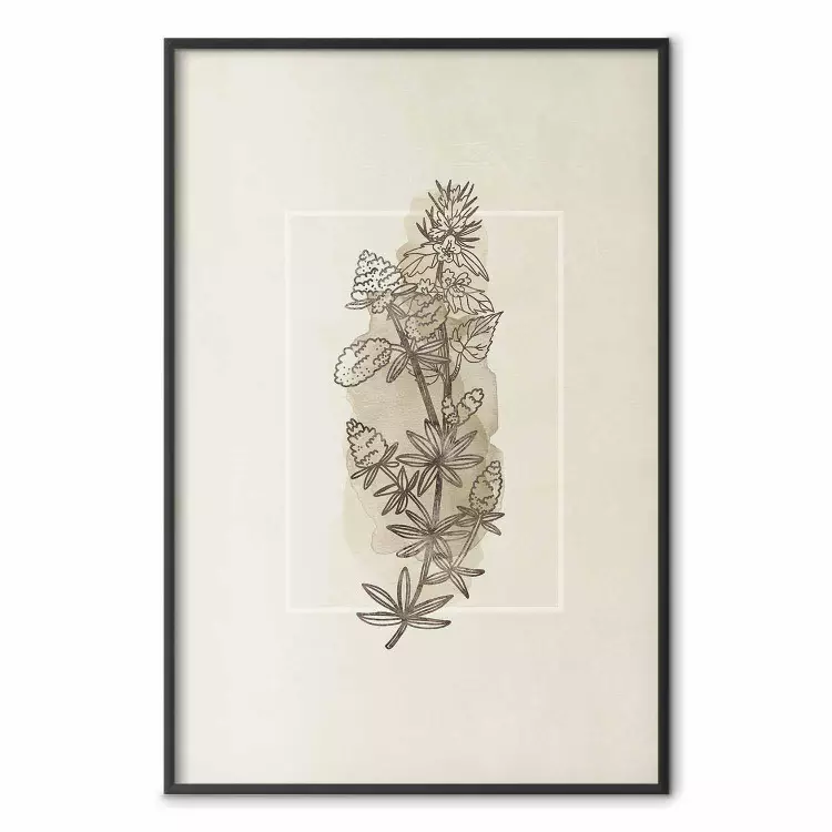 Schizzo campestre - pianta con fiori su beige retro