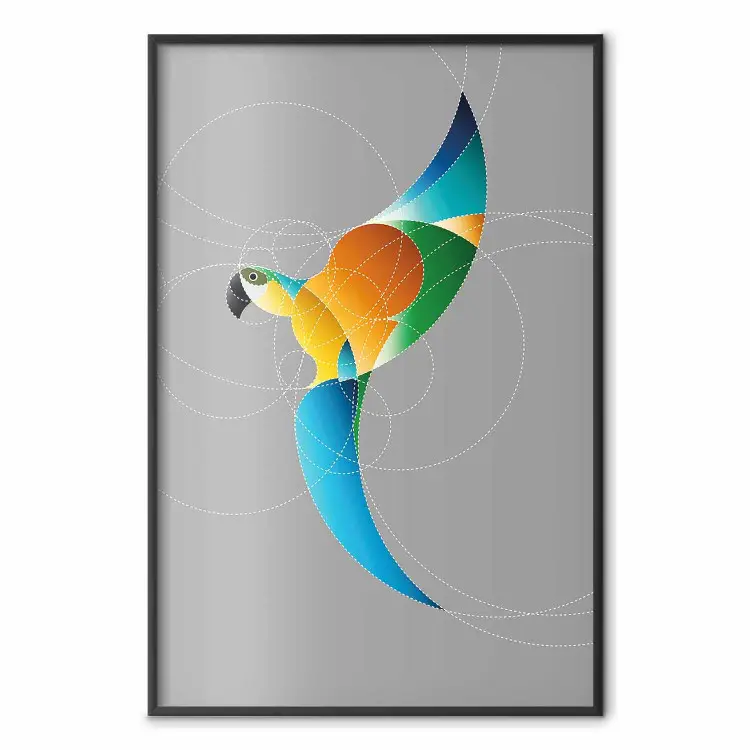 Pappagallo cerchi - uccello colorato di figure geometriche