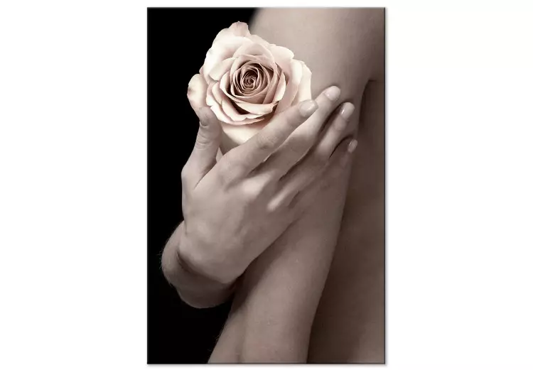 Tè rosa sul palmo della mano - Foto di una donna con un fiore