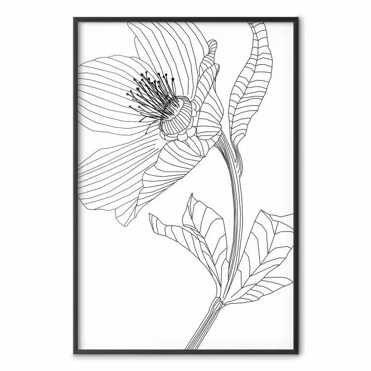 Schizzo primaverile - line art pianta su bianco