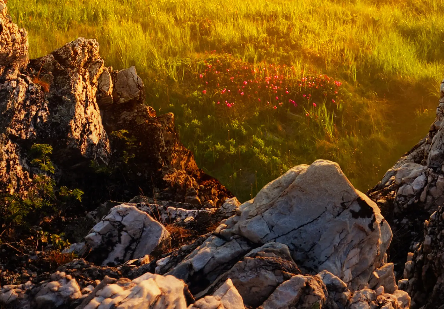 Quadro Moderno Su Tela, Poster E Stampa Di Paesaggi, Natura, Montagna, Hotel, Foto Artistiche D - Foto 9