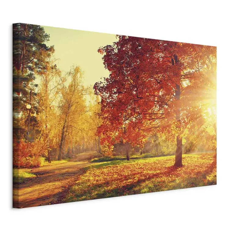 Pomeriggio autunnale largo - paesaggio dorato degli alberi