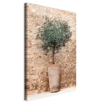 Quadro Su Tela Con Ulivo In Vaso – Stampa Giclée Moderna, Arredo Per Casa E Ufficio, 80x120 Cm Senza Cornice