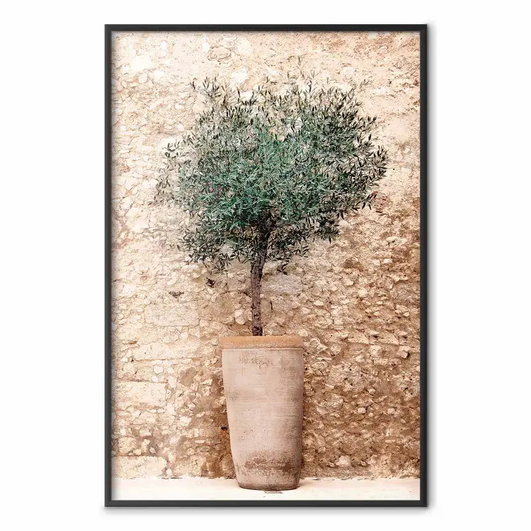 Verde toscano - composizione estiva con pianta verde in vaso