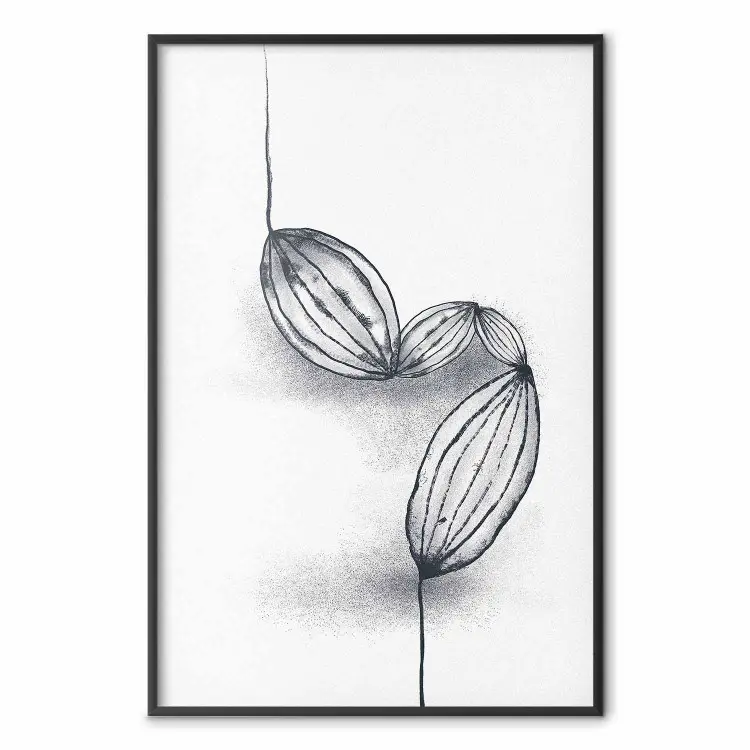 Semi di cacao - line art di semi su sfondo bianco