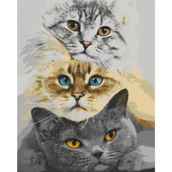 Kit Pittura A Numeri Gatto Bianco E Nero &ndash; 40x50 Cm, Senza Cornice, Con Colori Acrilici E Pennelli, Per Adulti E Principianti