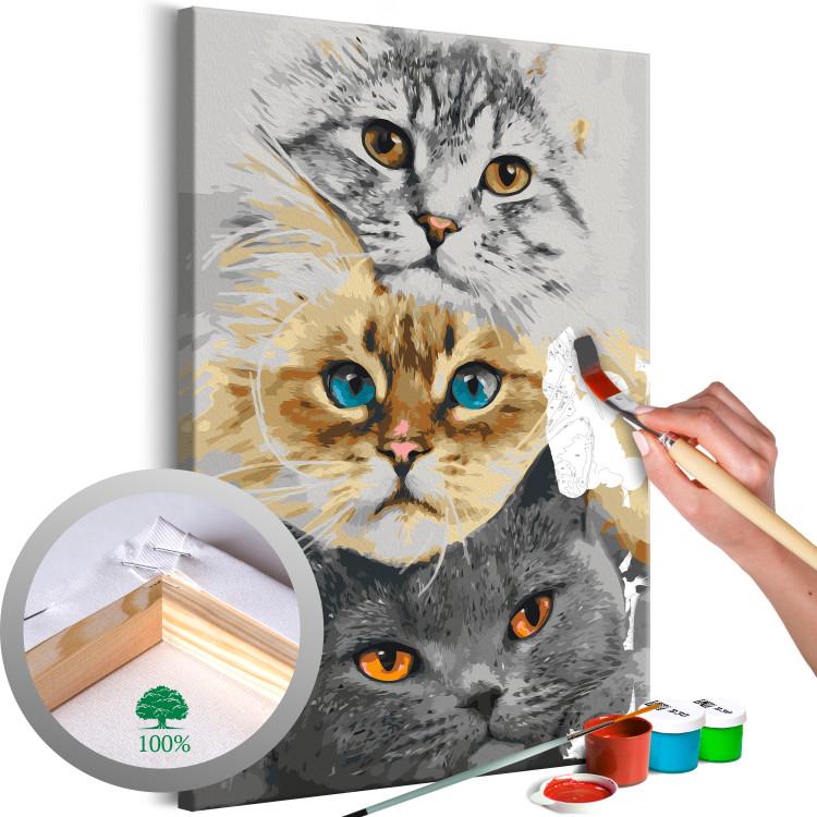 Dipingere con i numeri gatti, tele da dipingere su tela gatti, kit da dipingere  con i numeri gatti, set da dipingere con i numeri gatti, dipingi con i numeri  gatti, dipingere coi