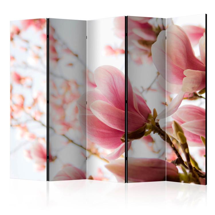 Paravento Pink magnolia II [Room Dividers]