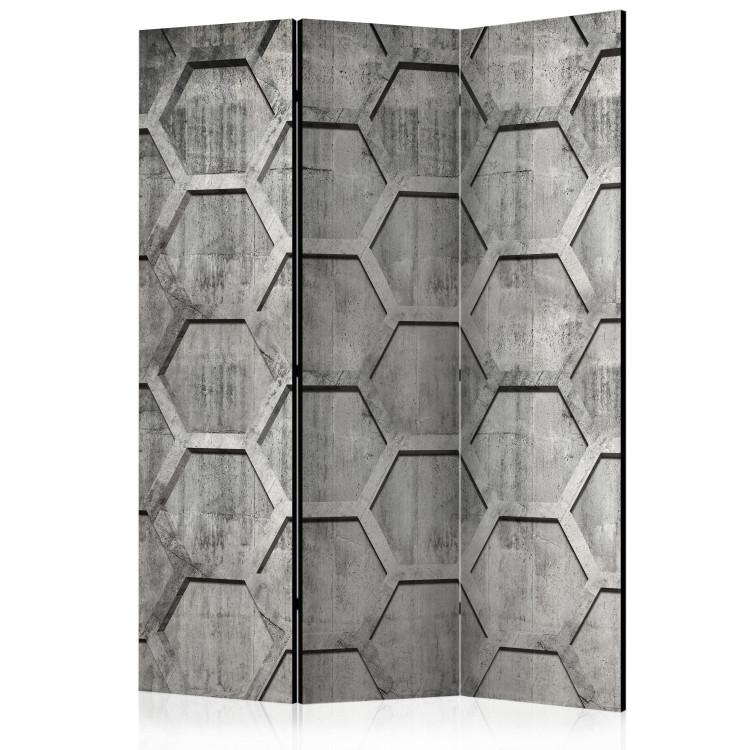 Paravento Platinum cubes [Room Dividers]