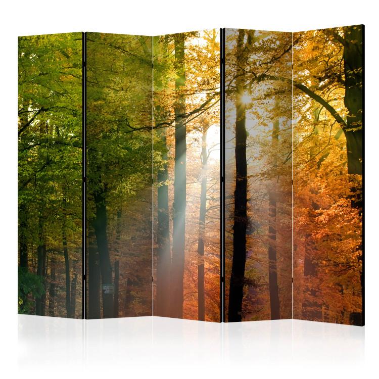 Paravento Forest Colours II [Room Dividers]