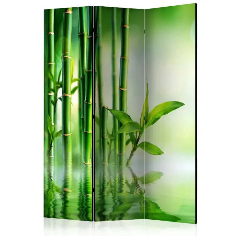 Boschetto bambù - composizione verde zen