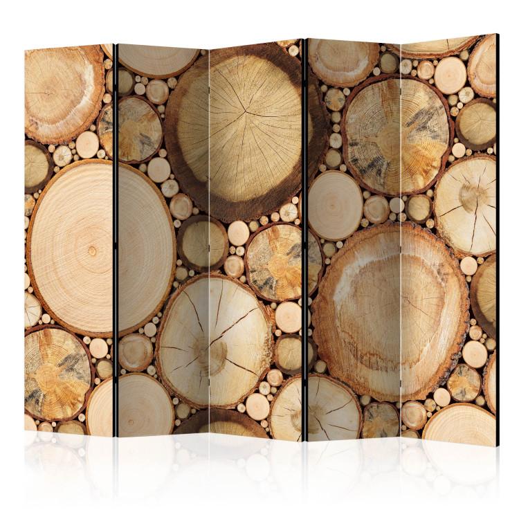 Paravento Wood grains II [Room Dividers]