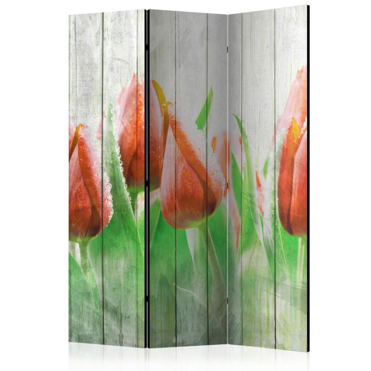 Paravento Red tulips on wood [Room Dividers]