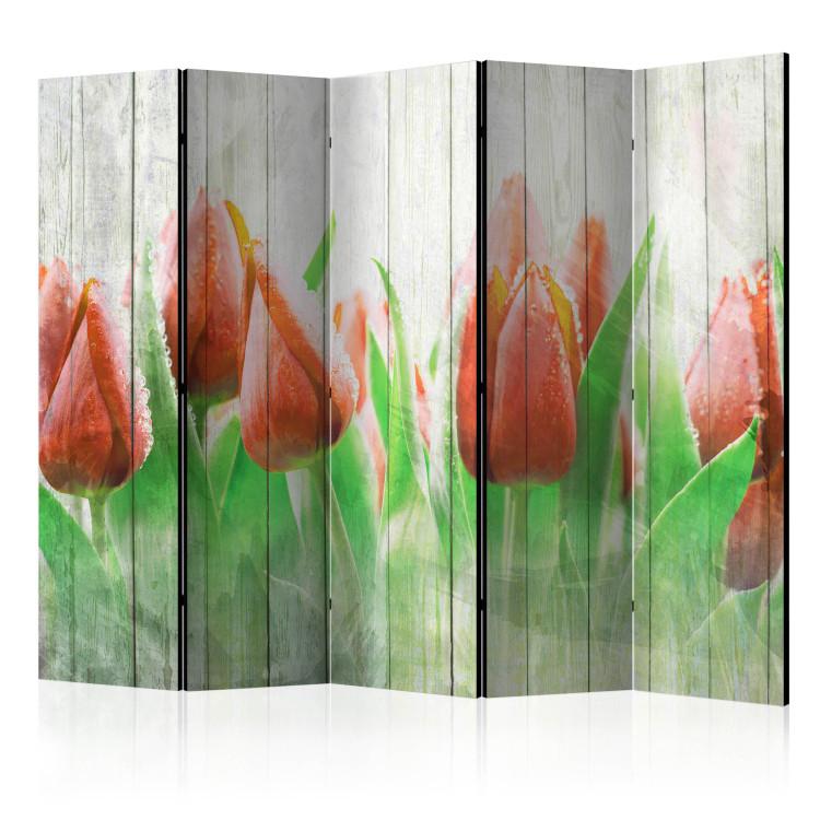 Paravento Red tulips on wood II [Room Dividers]