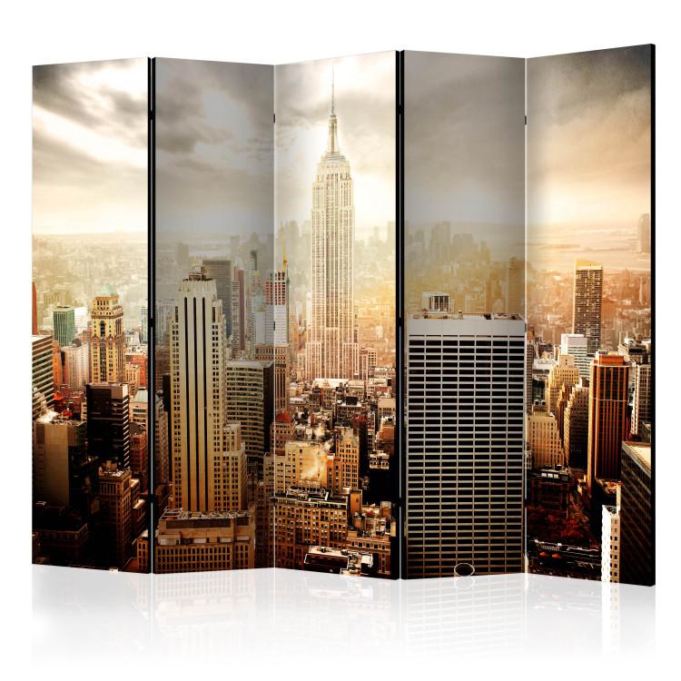 Paravento Uncombed by wind  II [Room Dividers]