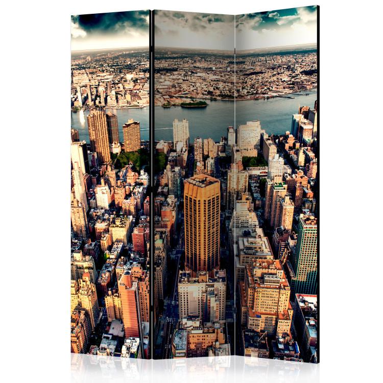 Paravento Bird's Eye View of New York [Room Dividers]