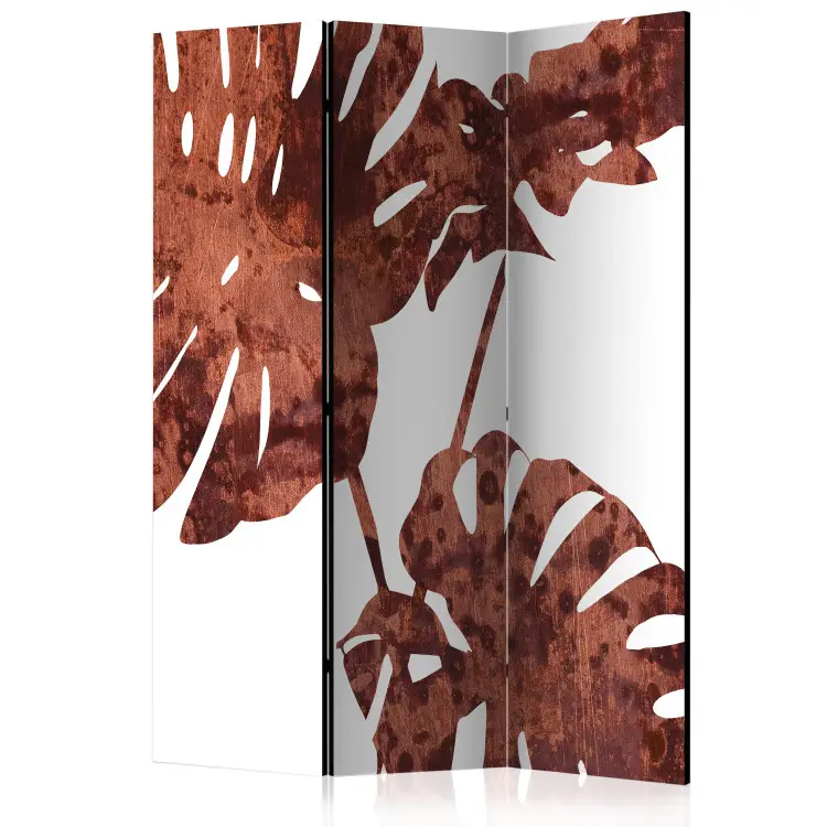 Monstera elegante - foglie marroni di una pianta tropicale