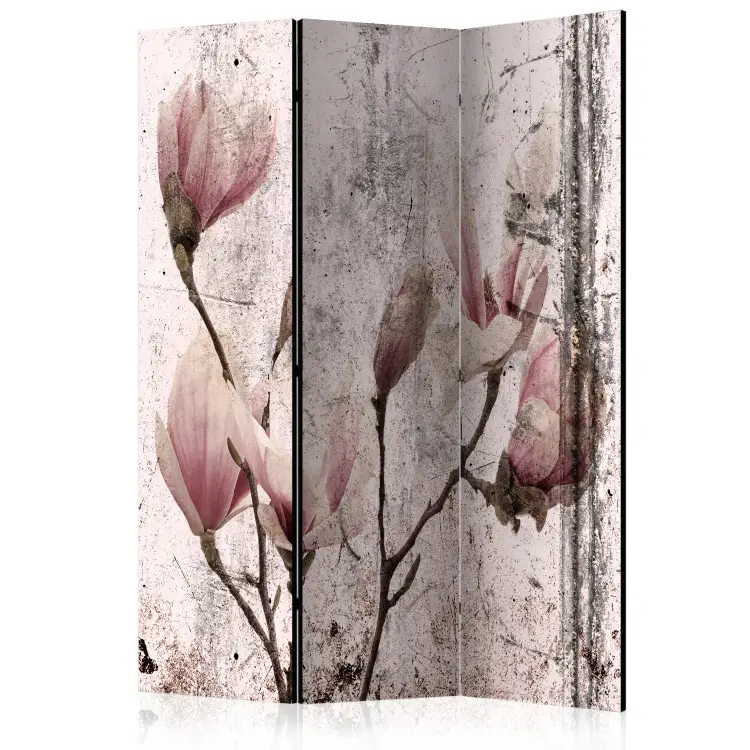 Sipario di magnolie - fiori rosa su sfondo sbiadito