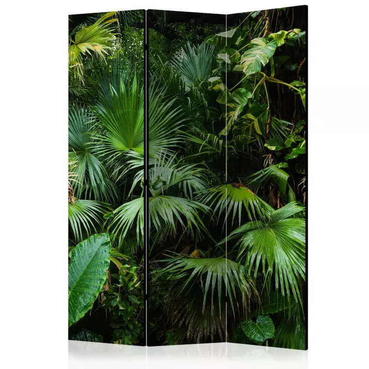Giungla soleggiata (3-parti) - foglie verdi di piante tropicali