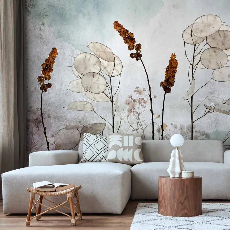 Lunaria nel prato