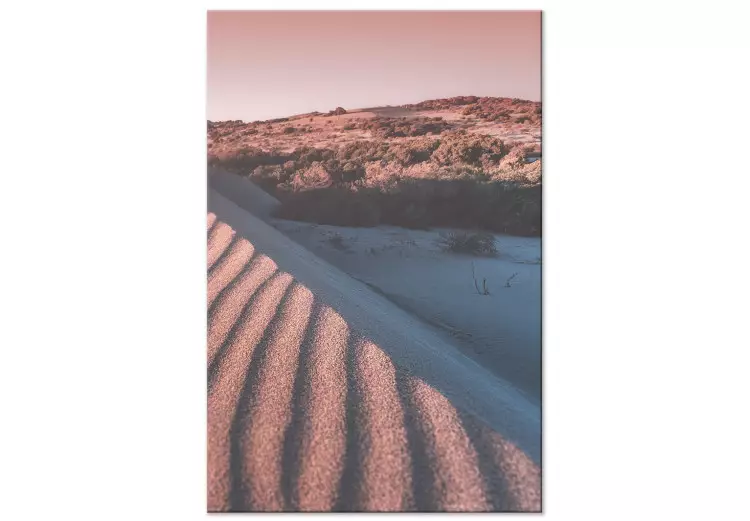 Sabbie rosa (1-pezzo) verticale - paesaggio desertico arabo