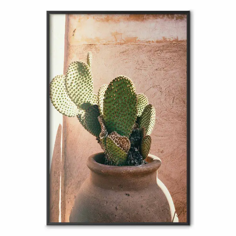 Cactus in vaso - succulenta in vaso su sfondo luminosità solare