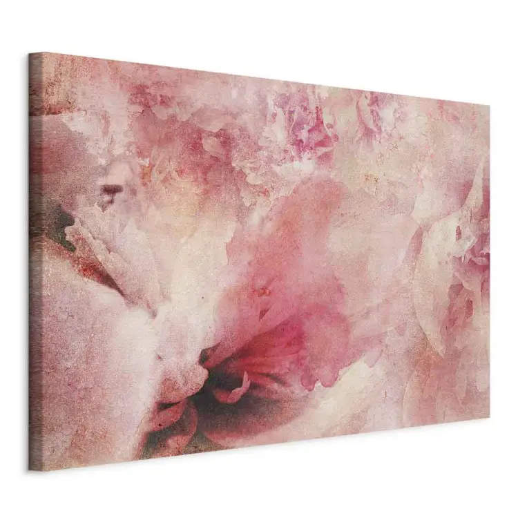 Alba rosa - Astrazione con rose sfocate e frammenti di fiori