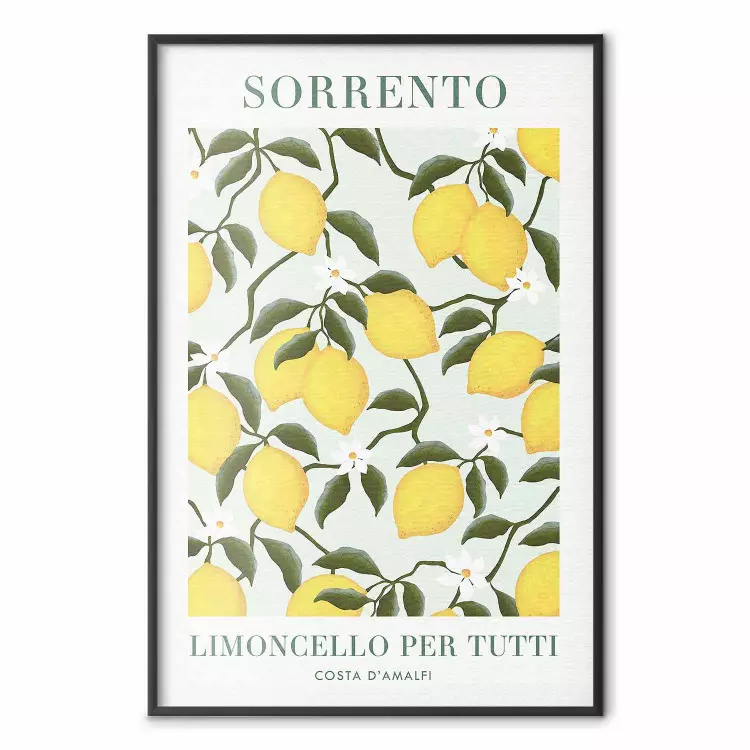 Limoni di Sorrento - frutti e scritte in italiano