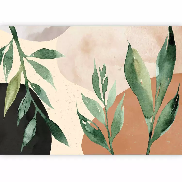 Armonia della natura