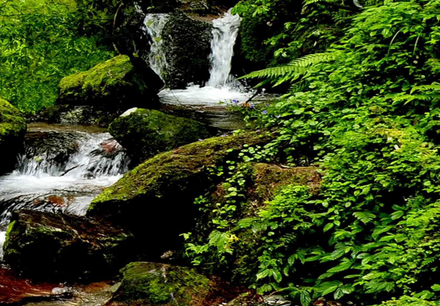 YEESAM ART Pittura Con I Numeri Per Adulti E Bambini - Foresta E Cascata - Tela 40x50 Cm Fai Da Te - 2