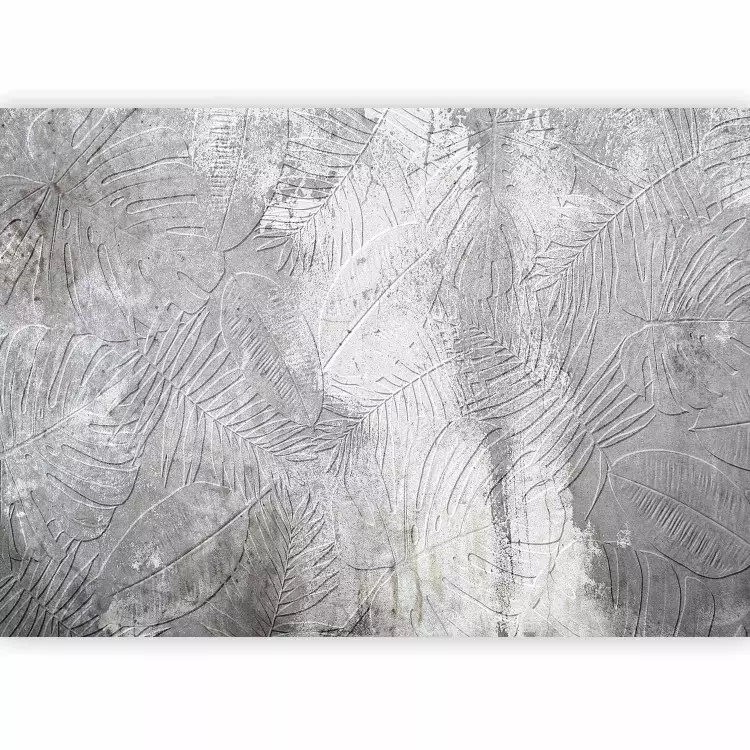 Geroglifici della natura - riflesso astratto in bianco e nero