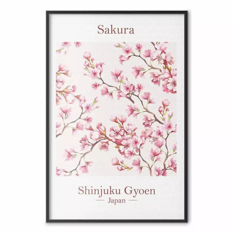 Sakura - testi in inglese e pianta giapponese con fiori rosa