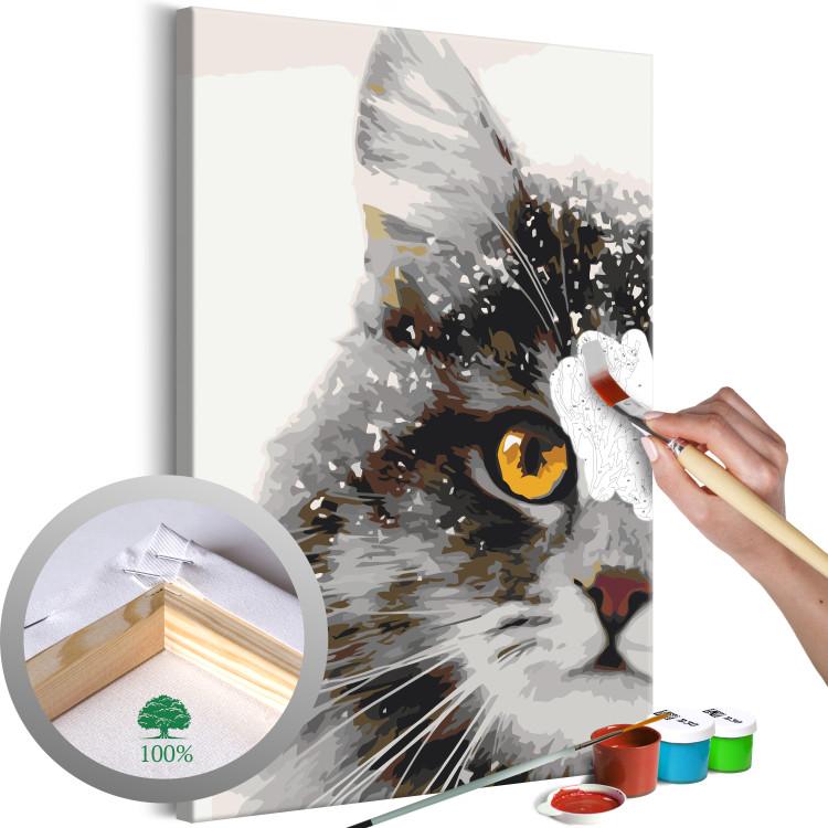 Dipingere con i numeri gatti, tele da dipingere su tela gatti, kit da dipingere  con i numeri gatti, set da dipingere con i numeri gatti, dipingi con i numeri  gatti, dipingere coi