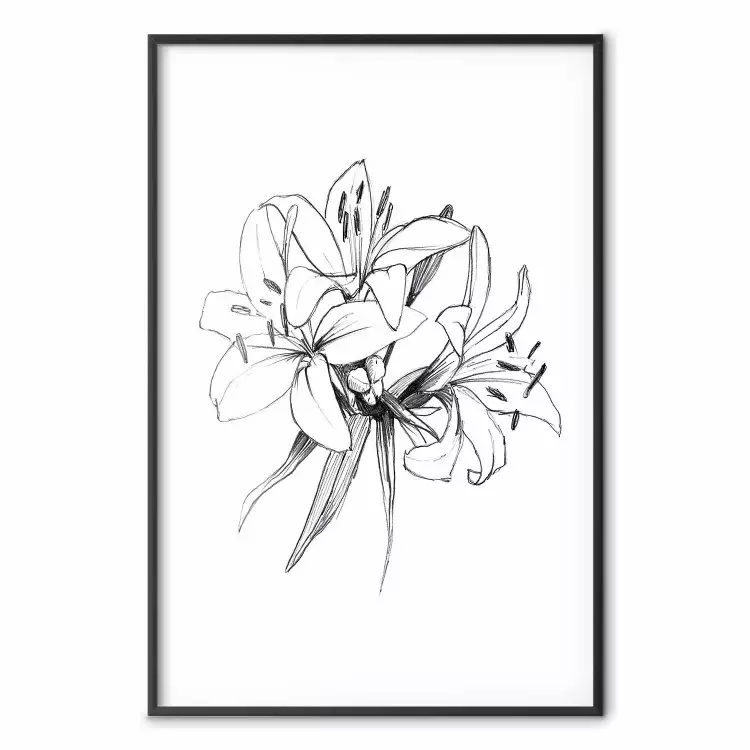 Fiori disegnati - schizzo nero di fiori su bianco contrastante