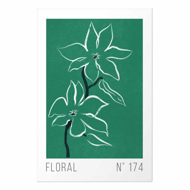 Quadri con natura e poster a tema vegetale - scopri il trend biofilico e le  decorazioni murali della collezione Go Green - negozio bimago