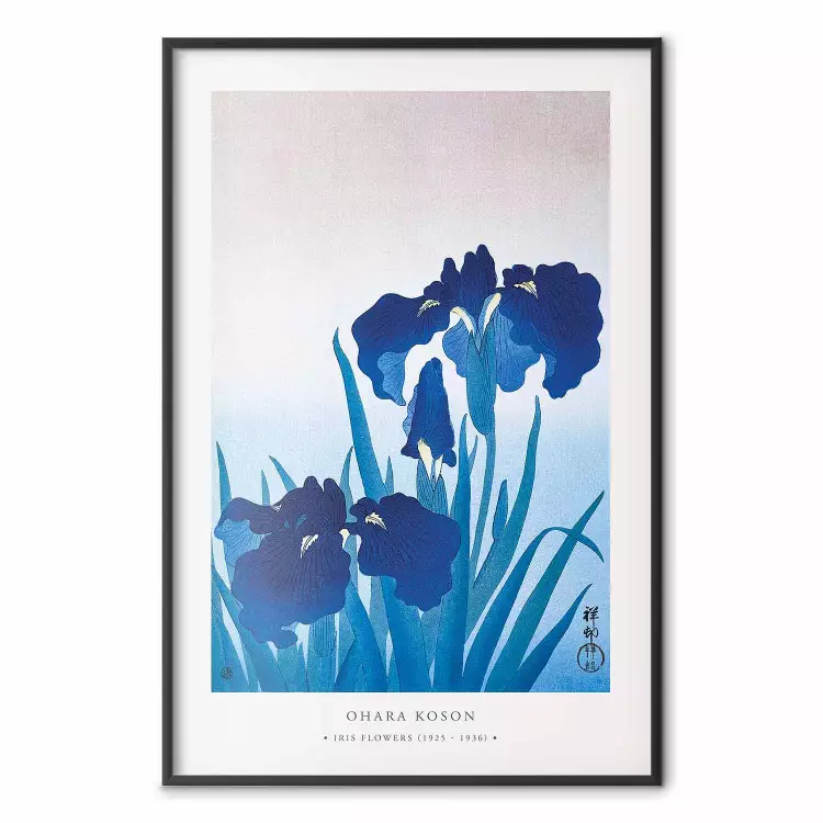 Iris blu