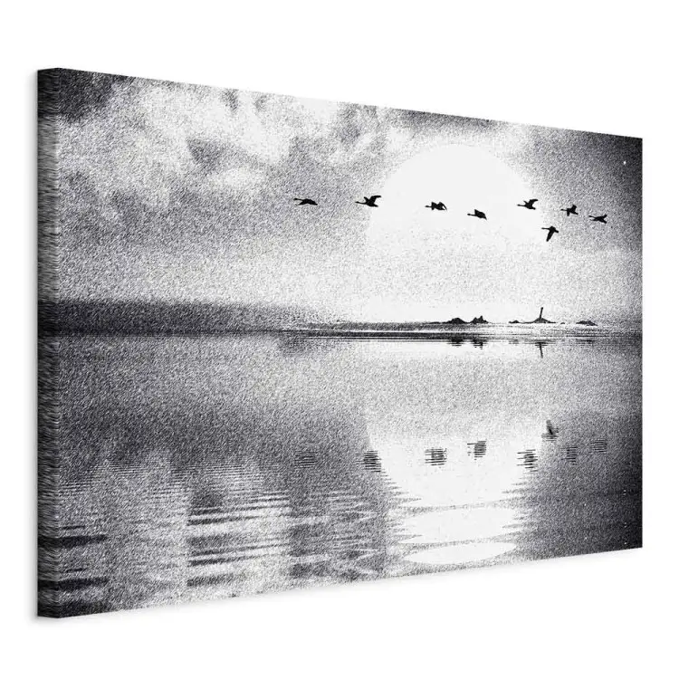 Volo degli uccelli sul lago - paesaggio in bianco e nero