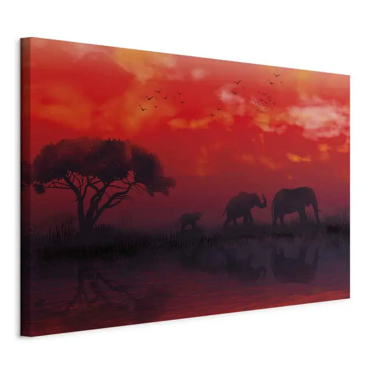 Paesaggio africano largo - elefanti e cielo rosso