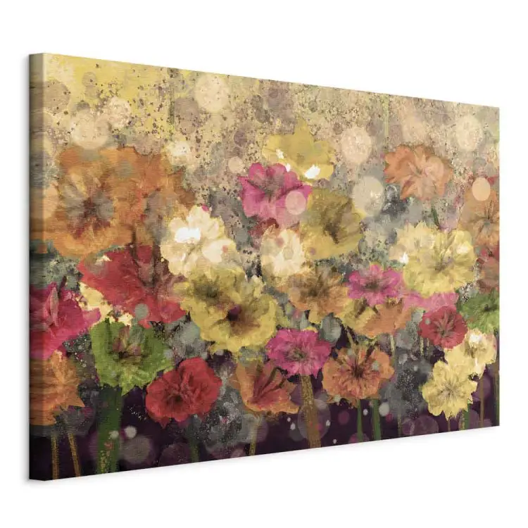 Rugiada su prato dipinto - fiori primaverili multicolori